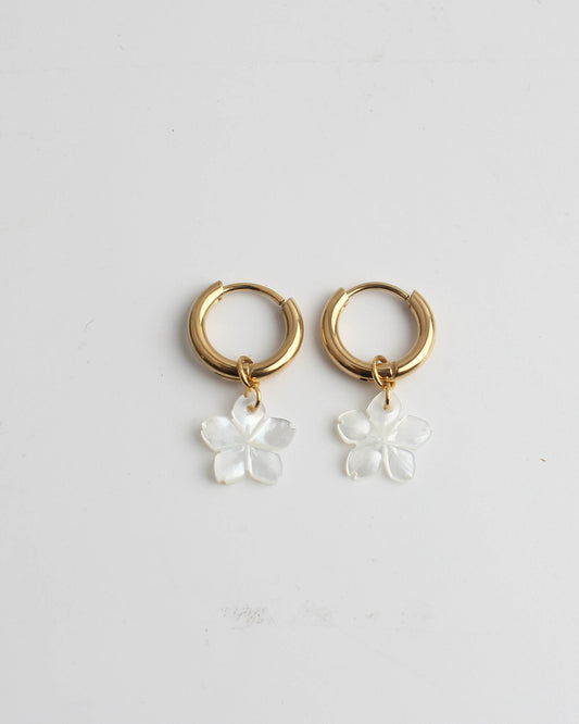 Flower Shell - Earrings - Stainless Steel